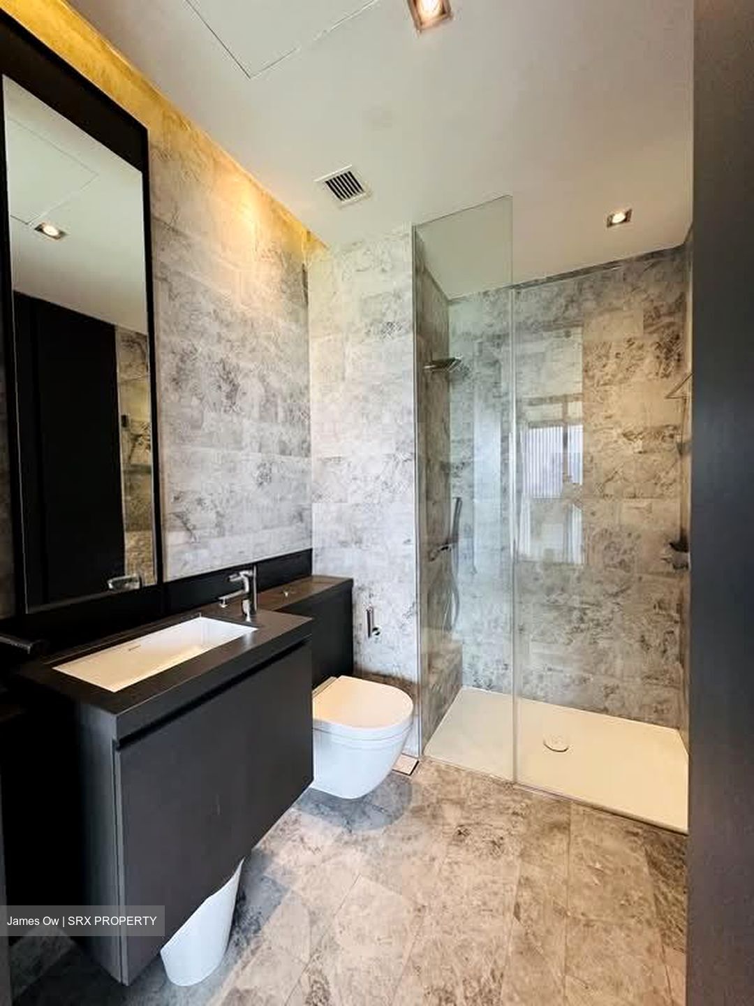 OUE Twin Peaks (D9), Condominium #596434181
